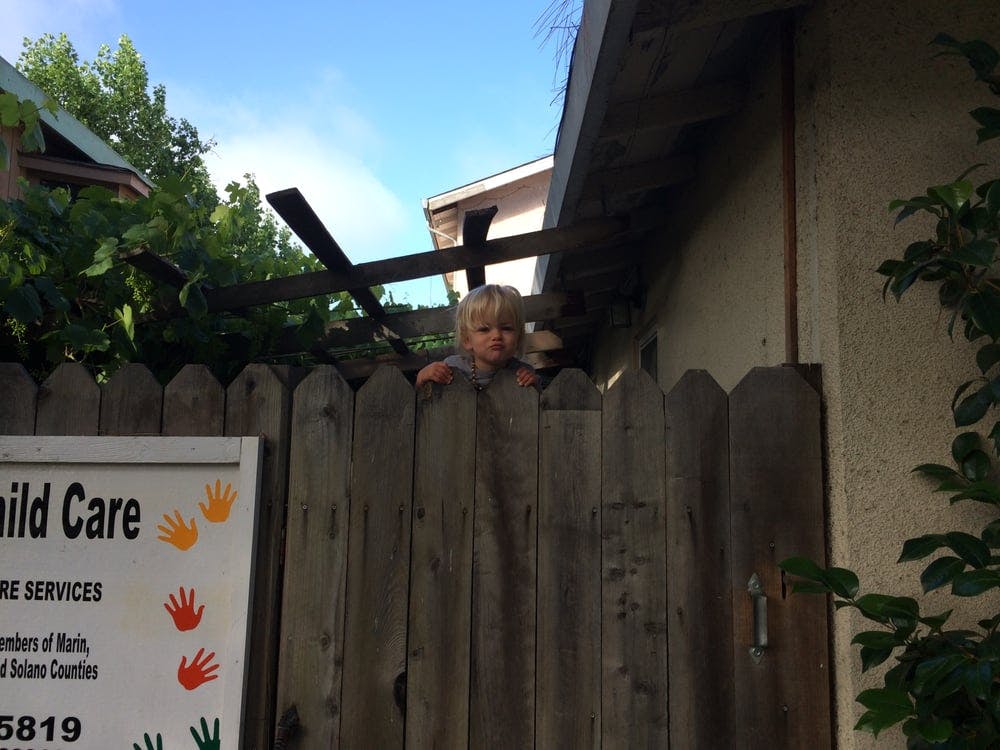 Child looking over a wooden fence