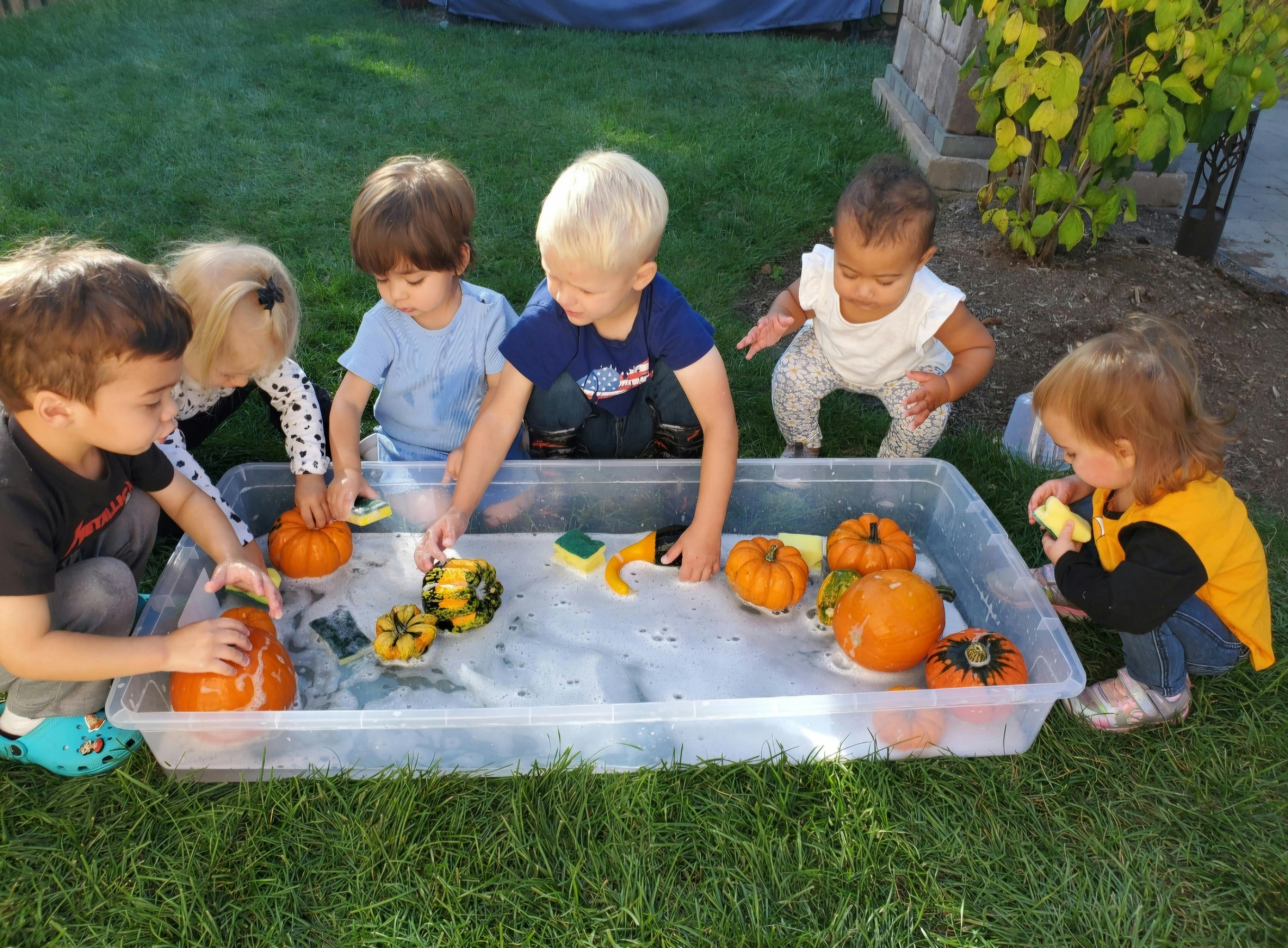 Children playing with pumpkins and gourds in a tub of water