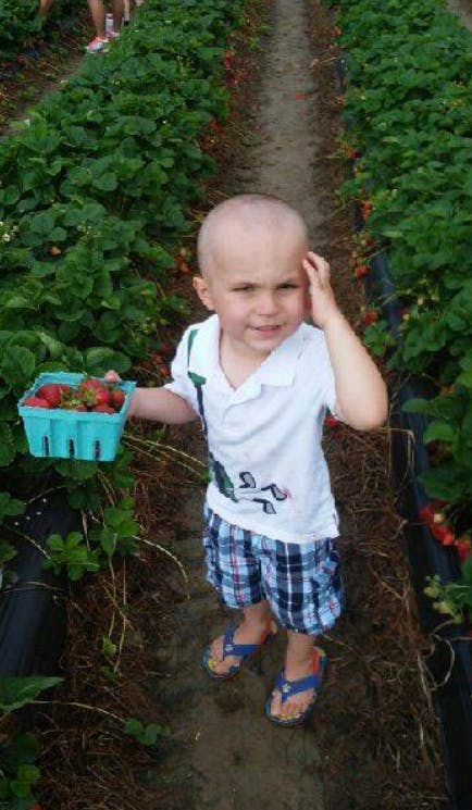 Child holding a basket of strawberries in a strawberry field