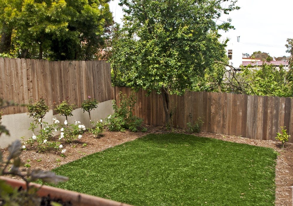 Backyard with a patch of green grass, a wooden fence, and some plants