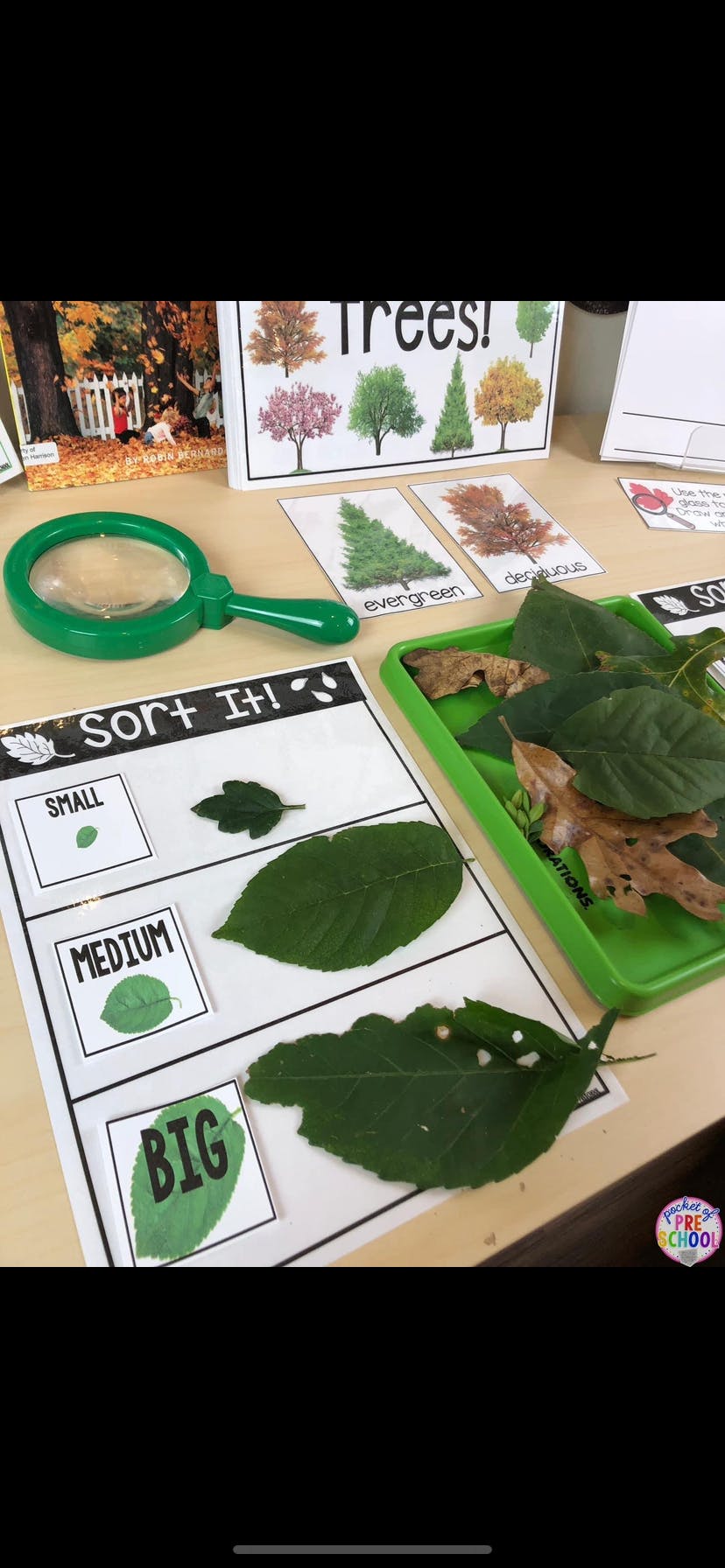 Leaves of different sizes on a sorting mat with a magnifying glass