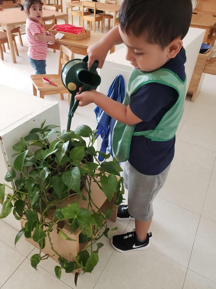 Child watering a plant with a green watering can in a classroom