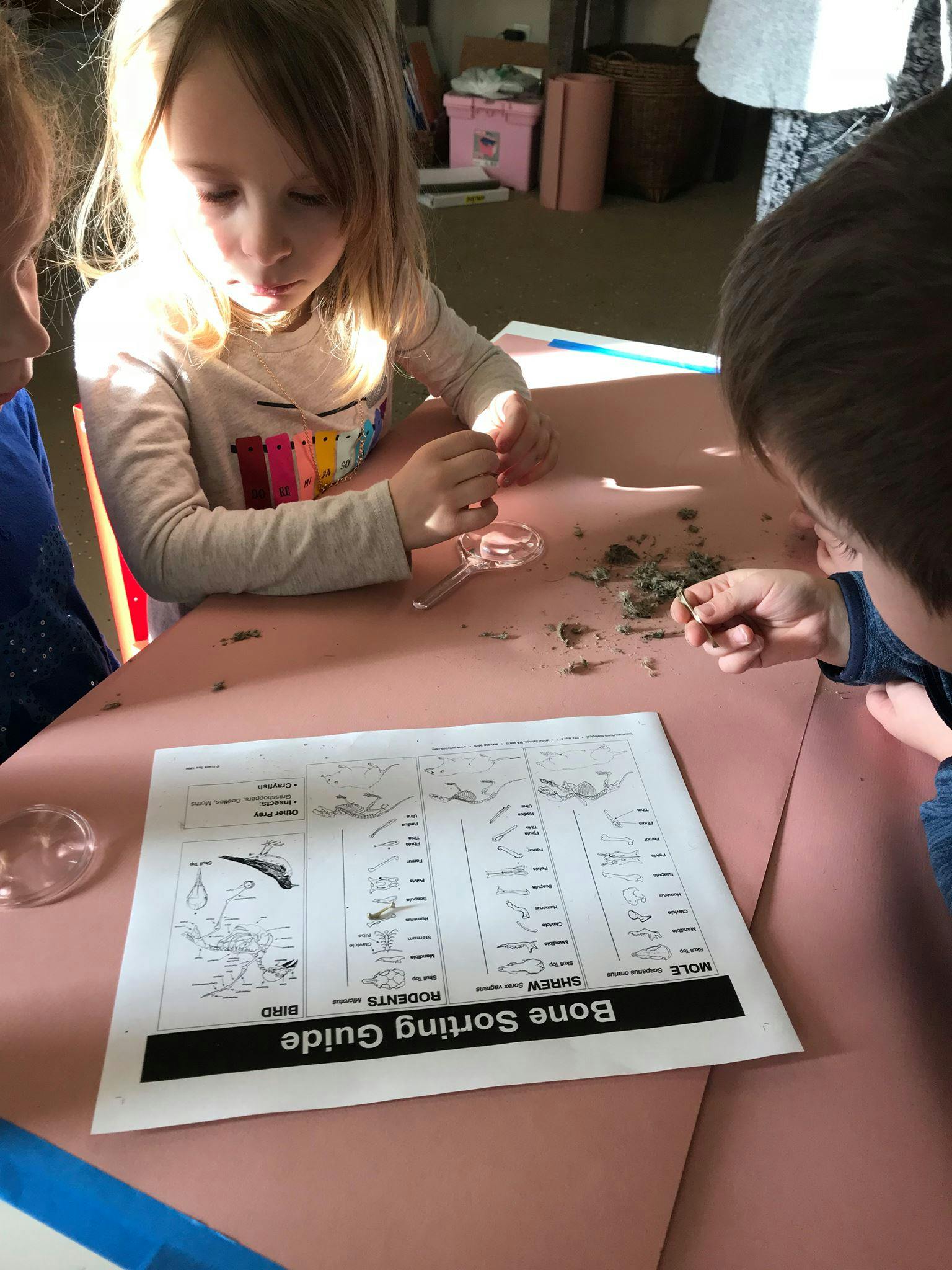 Children examining items on a table with a "Bone Sorting Guide"