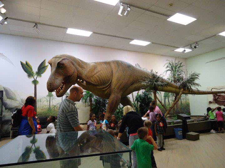 People viewing a large dinosaur exhibit in a museum