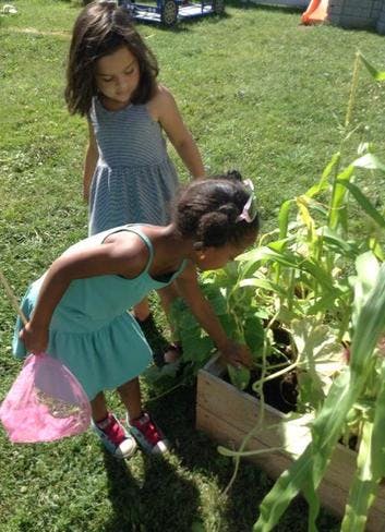 Two children looking at plants in a garden bed