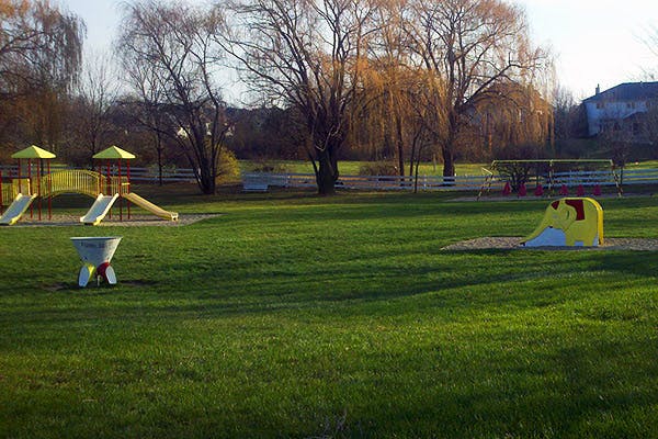 Playground with slides and green grass