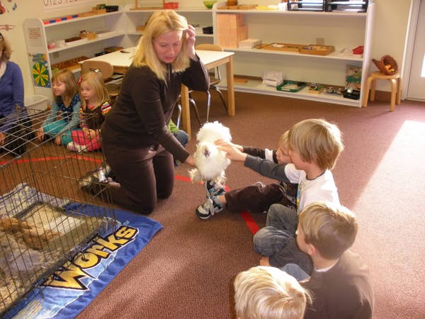 Adult and children interacting with a white rabbit in a classroom