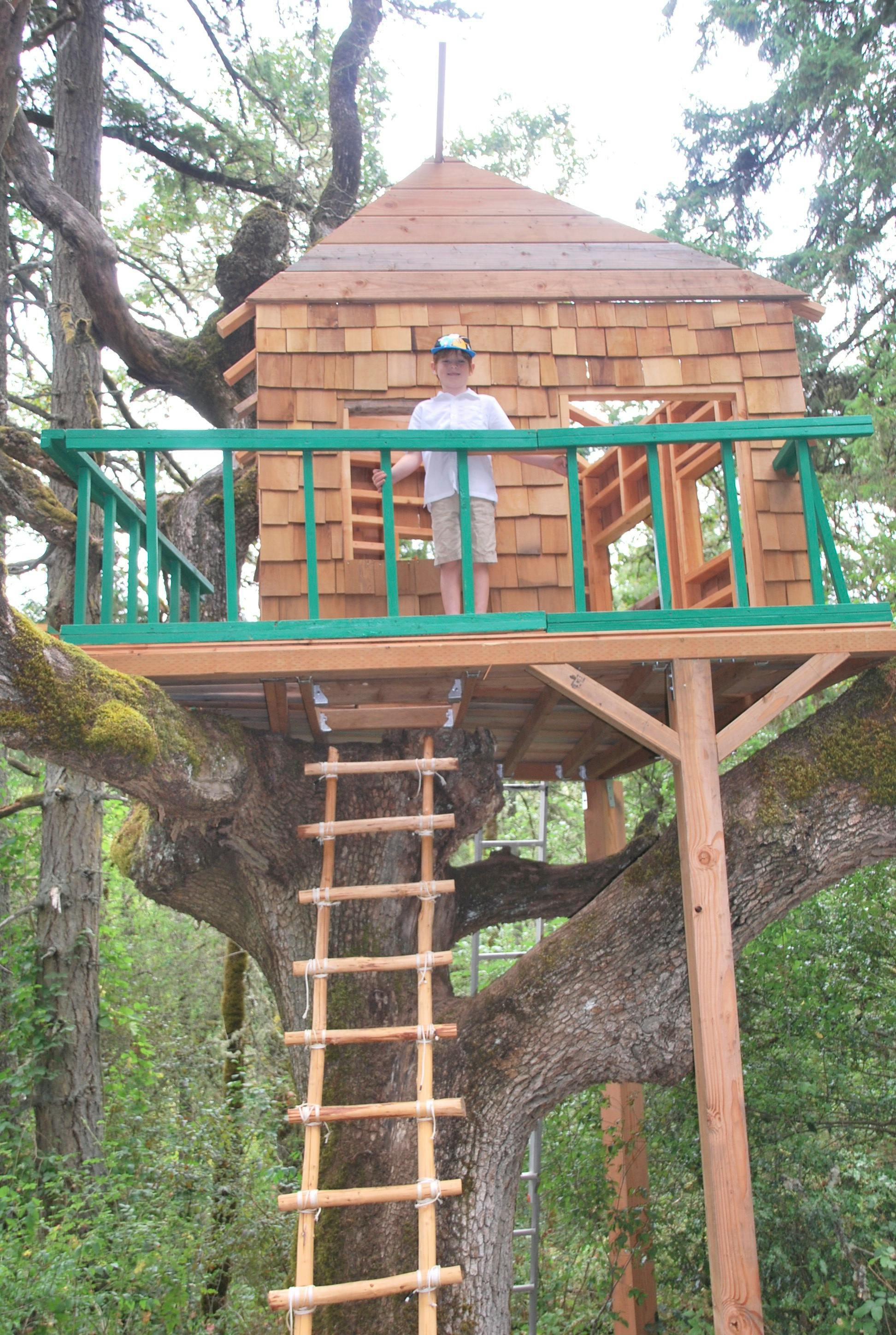Child standing on the balcony of a treehouse