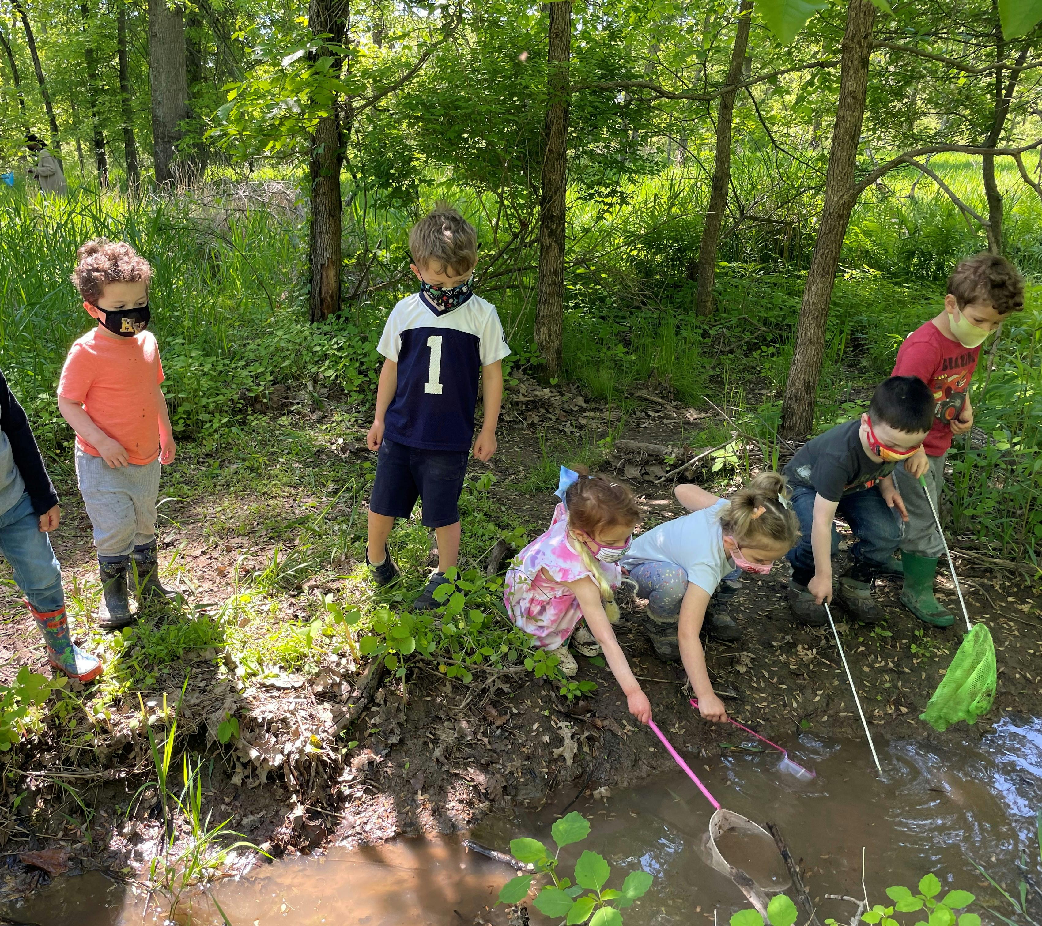 Children using nets to explore a stream in a wooded area