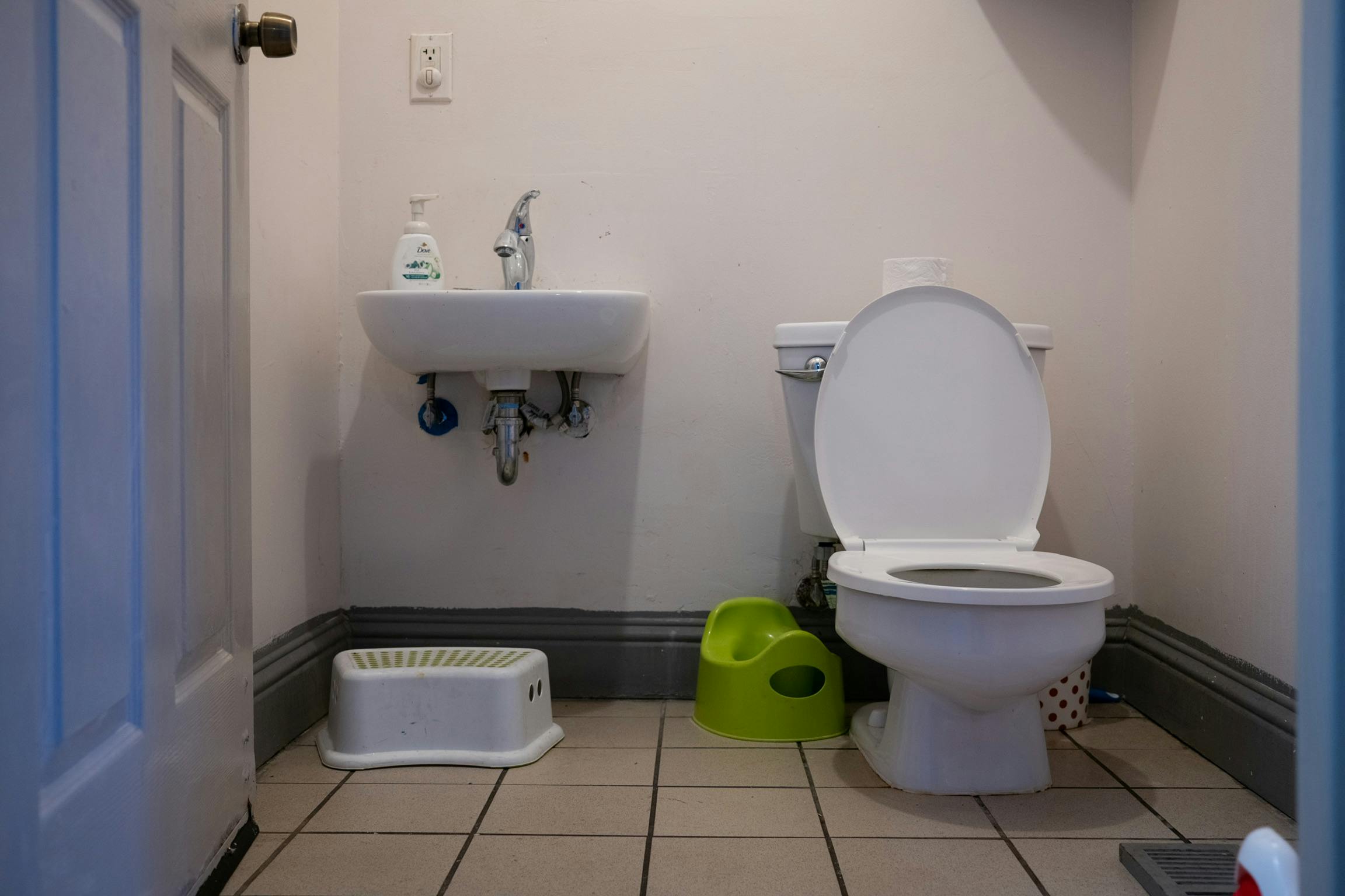 Toilet, sink, and potty training seat in a bathroom