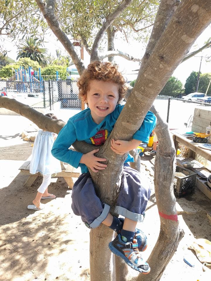 Child climbing a tree