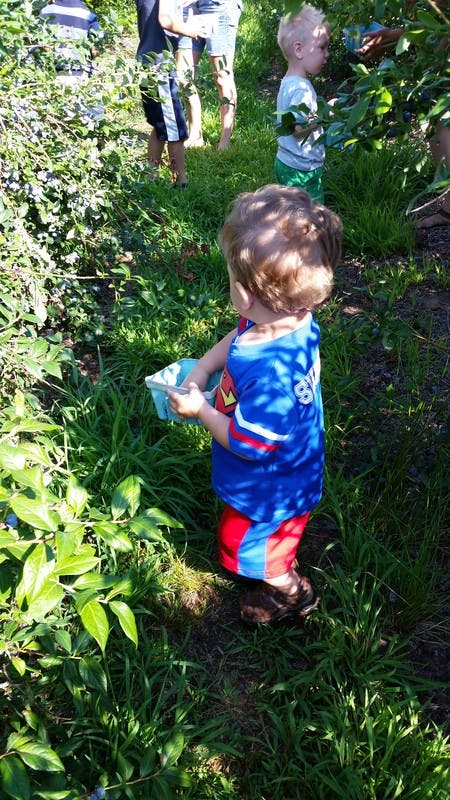 Child holding a container in a field with plants