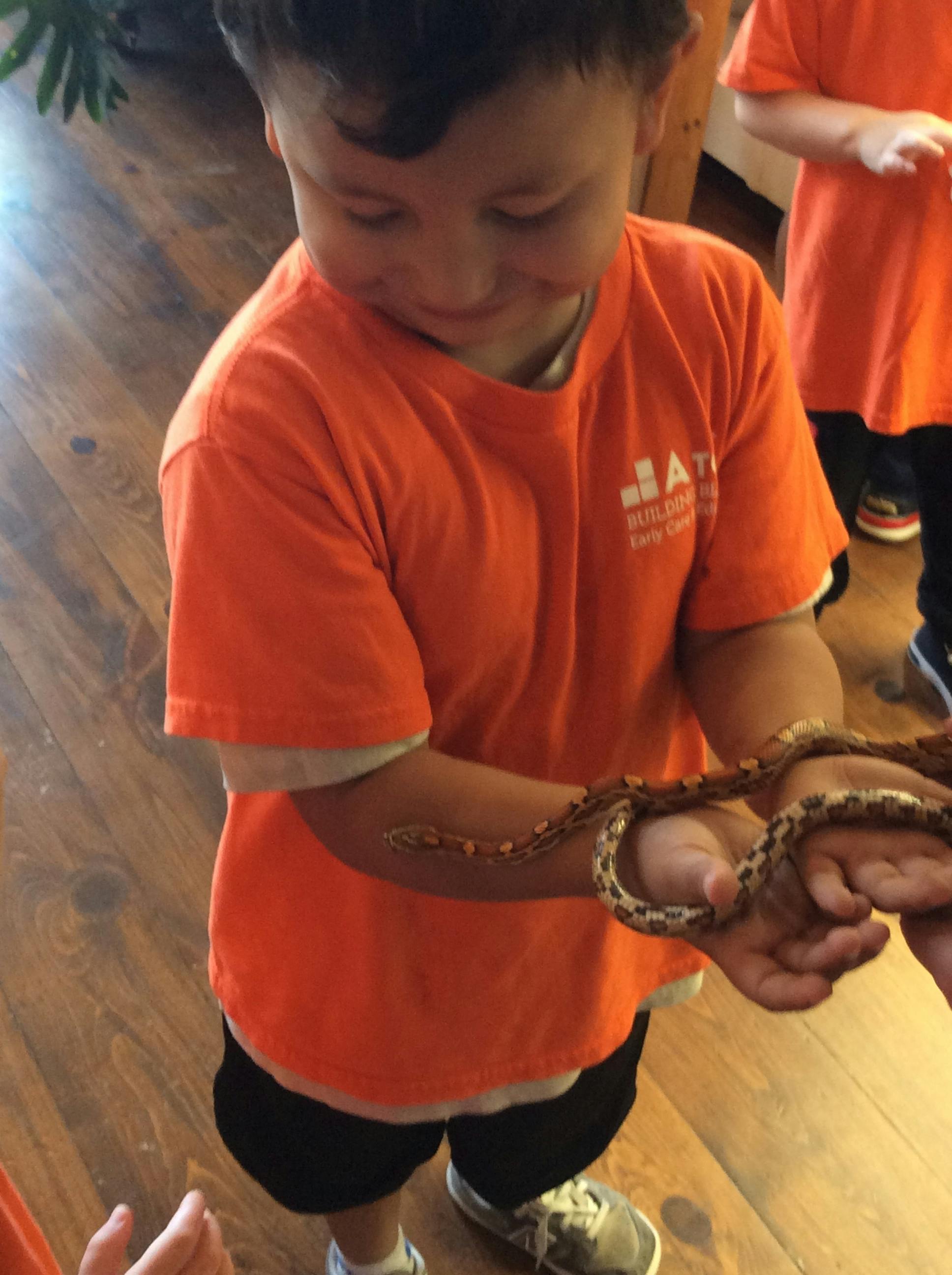 Child holding a small snake