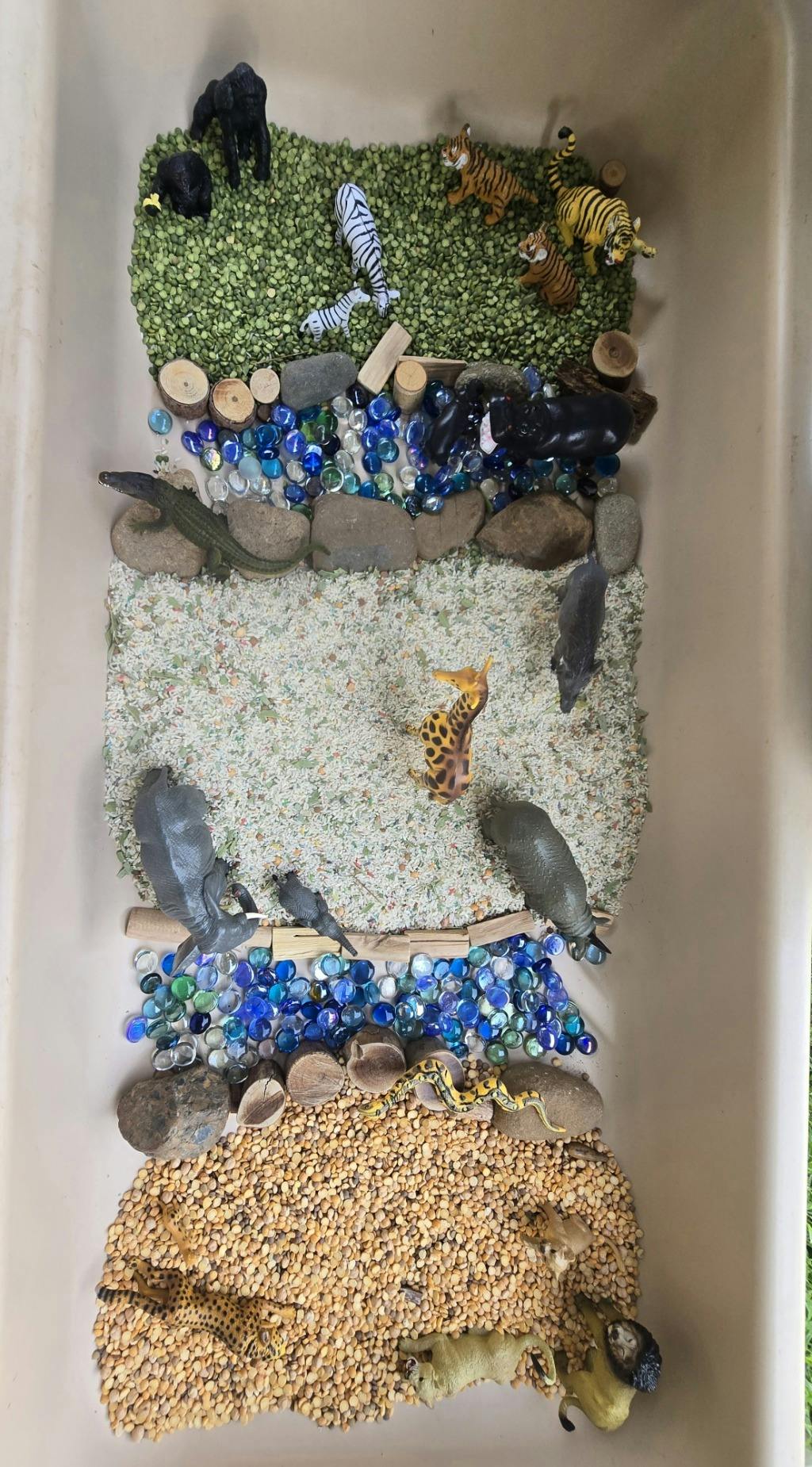 Plastic animal figurines arranged in a sensory bin with dried legumes and stones