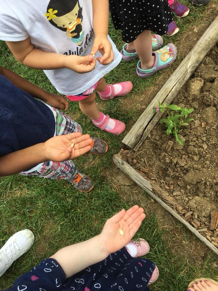 Children holding seeds in their hands near a garden bed