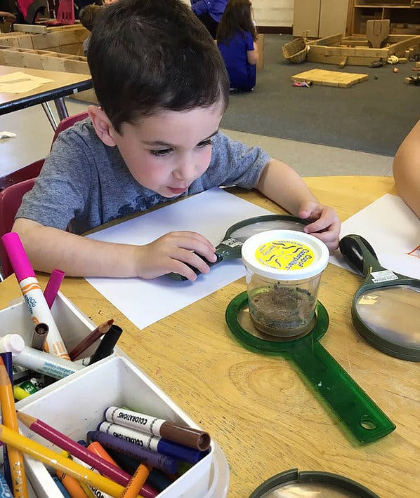 Child looking through a magnifying glass at an insect container