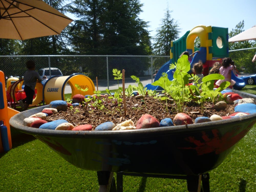 Wheelbarrow planter with small plants and colorful rocks in a playground