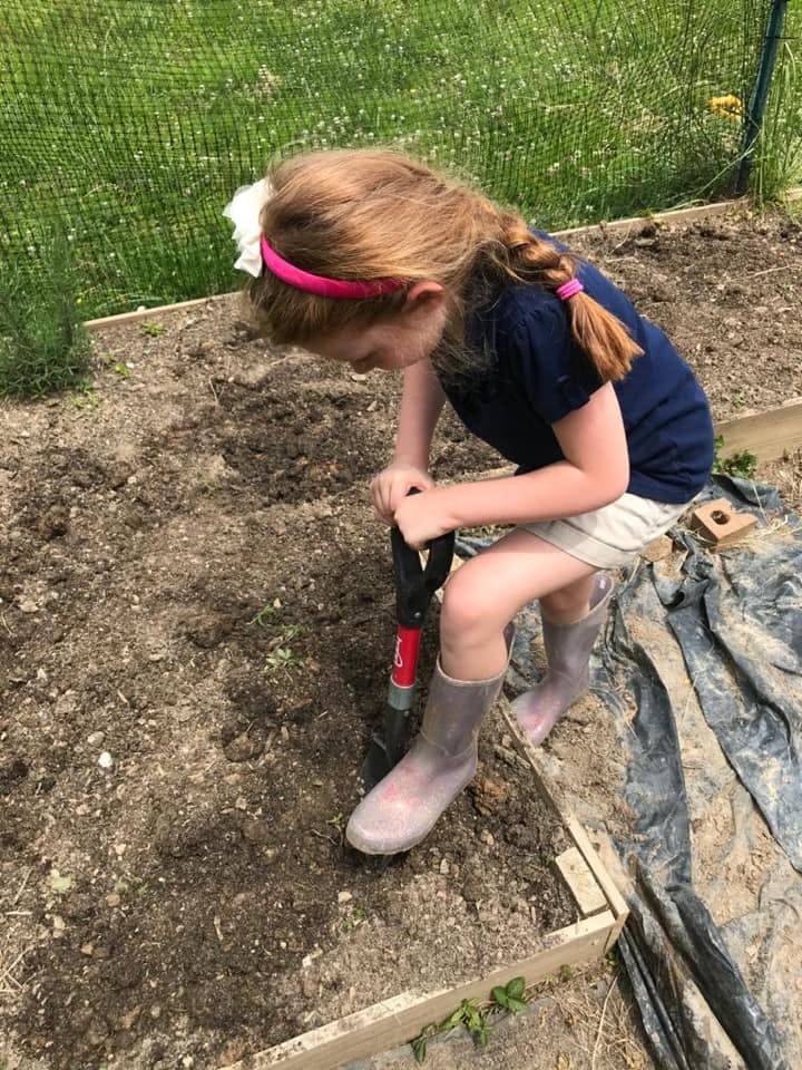 Child digging in a garden bed with a small shovel