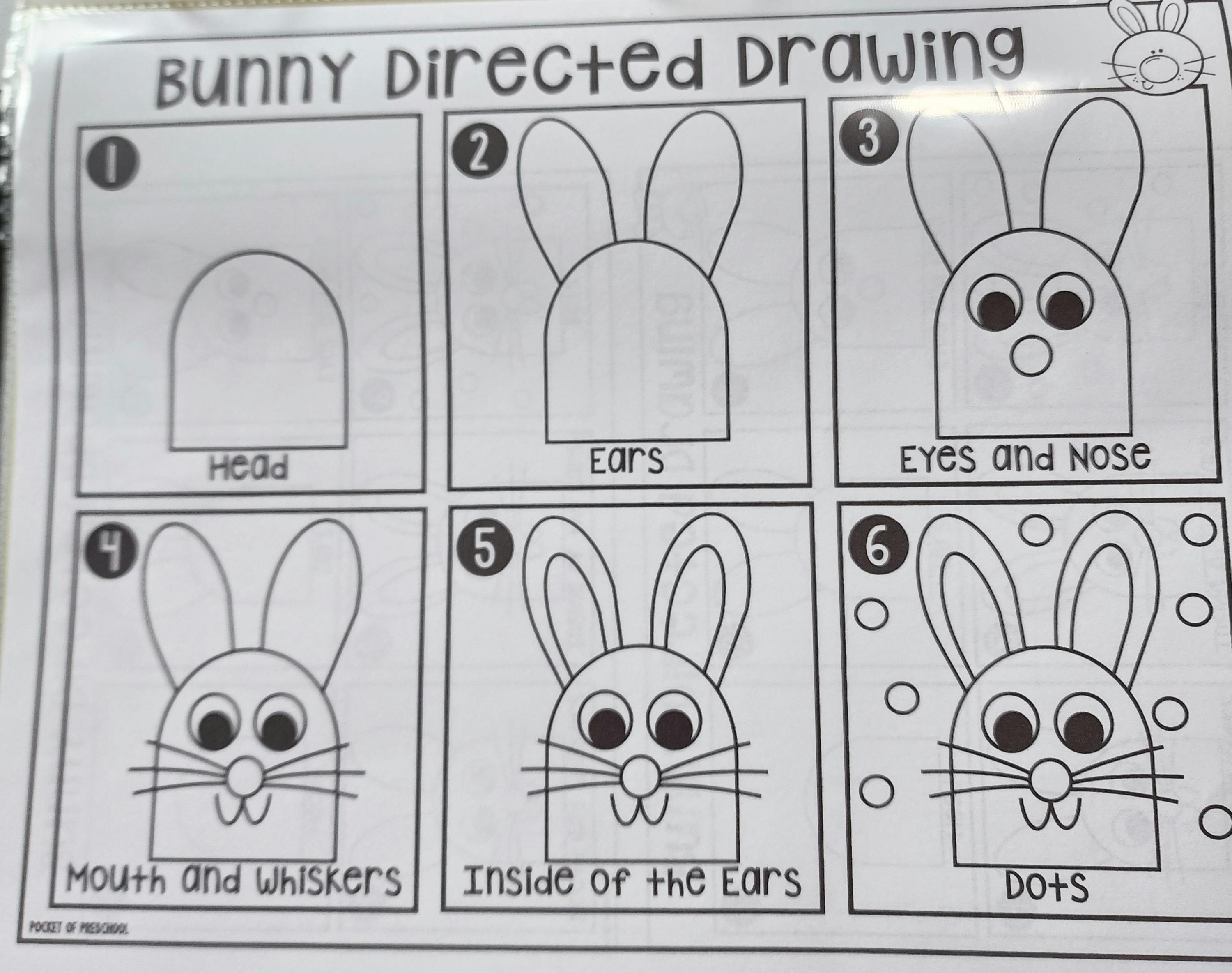 Bunny directed drawing instructions with six steps
