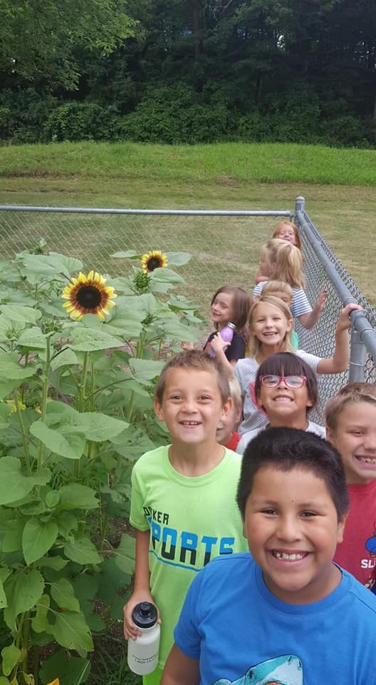 Children standing by a fence with sunflowers