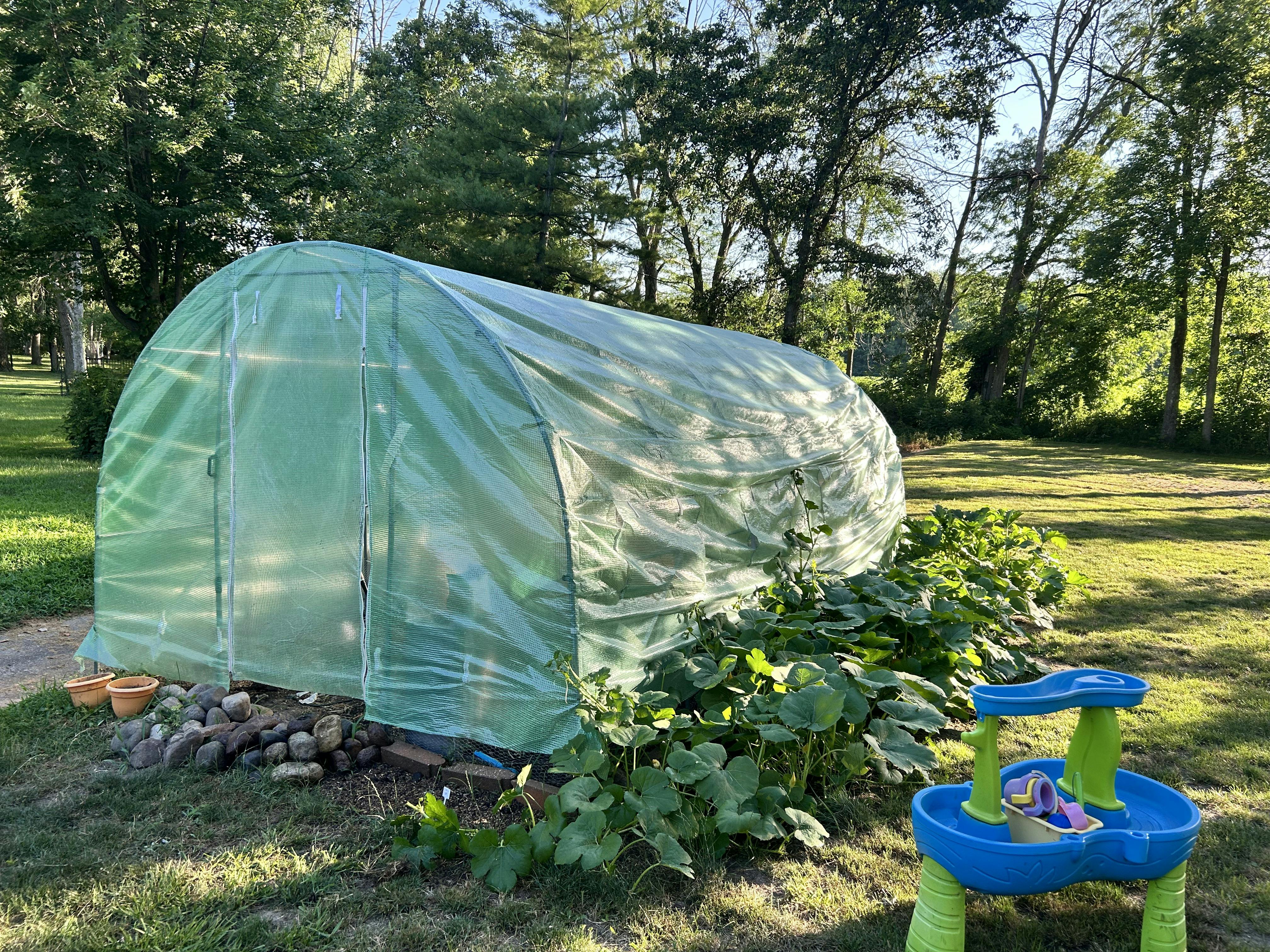 Greenhouse in a garden with plants growing outside