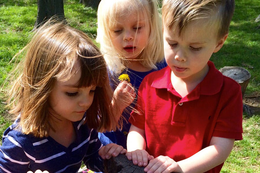 Three children looking down at something, one holding a yellow flower