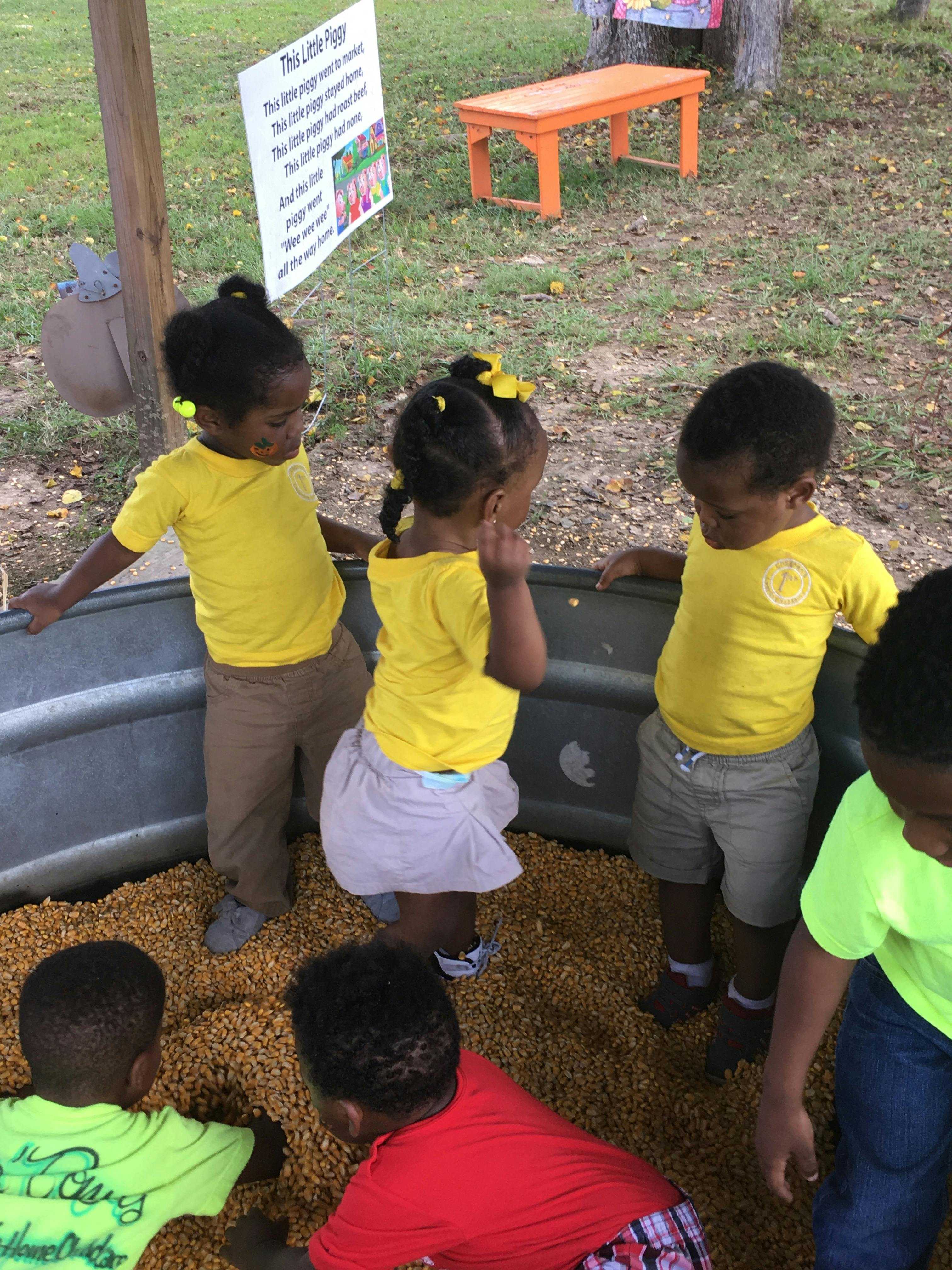 Children playing in a bin filled with corn kernels