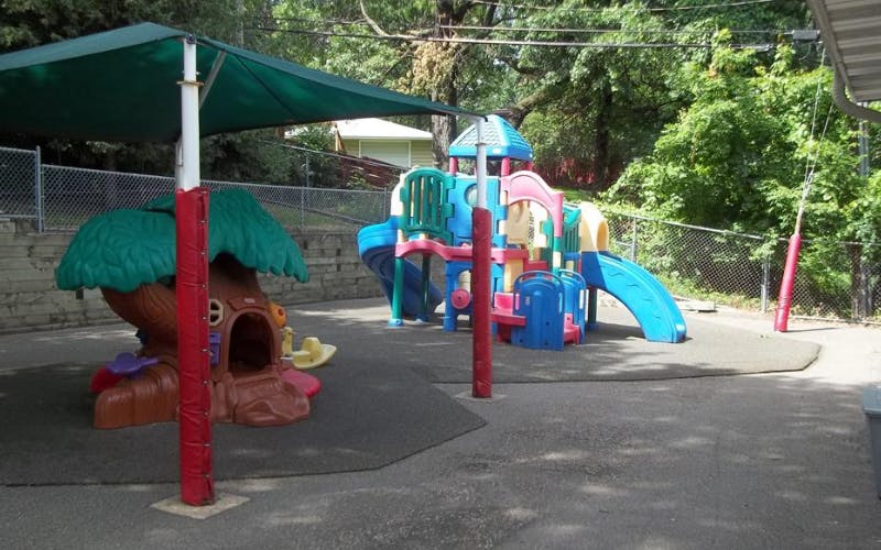 A covered outdoor play area with a treehouse and a large colorful playground structure