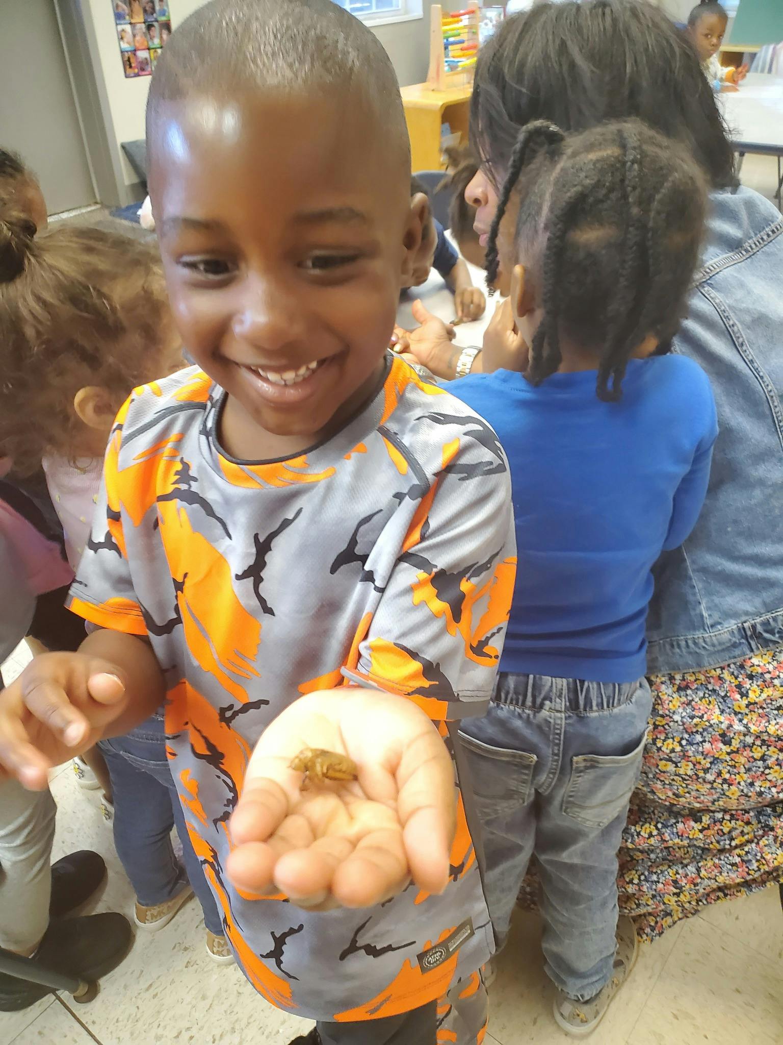 Child holding a small insect in their open palm
