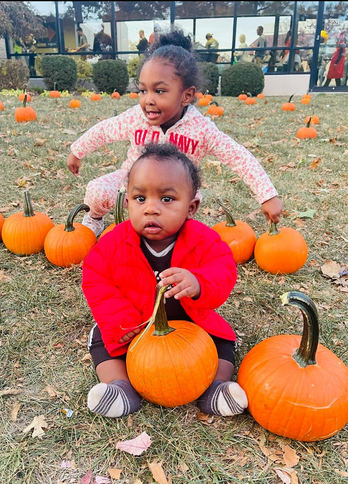 Two children with pumpkins in a grassy area