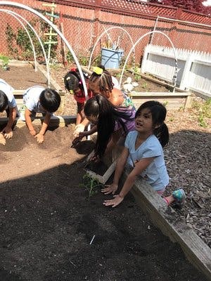 Children planting in a garden