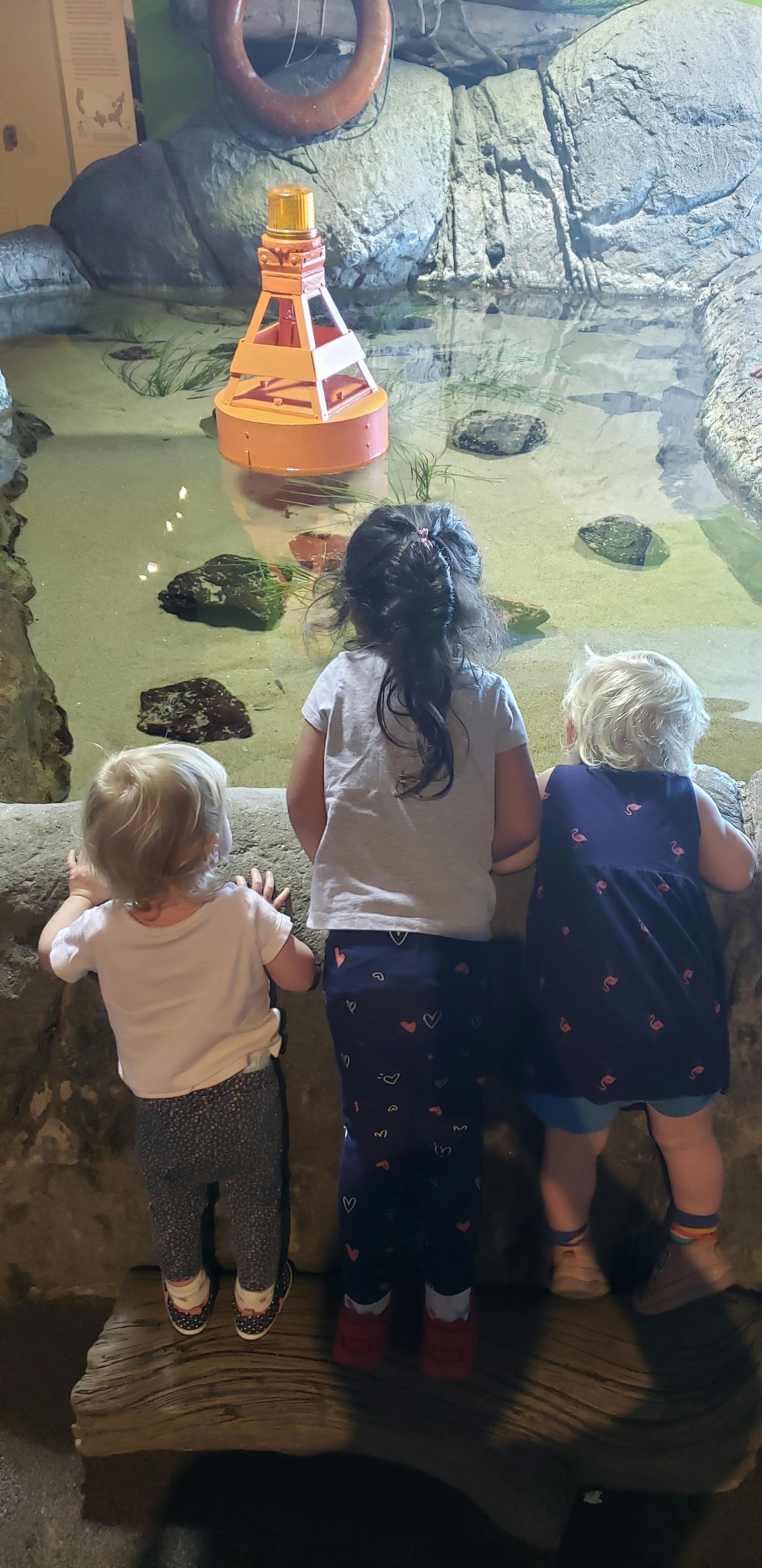 Three children looking into an aquarium with a buoy