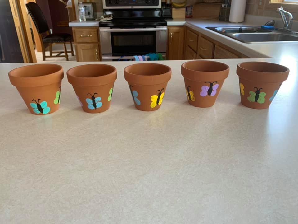 Five small terracotta pots with painted butterflies on a counter