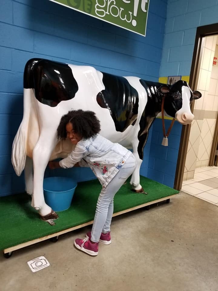 Child milking a cow statue into a blue bucket