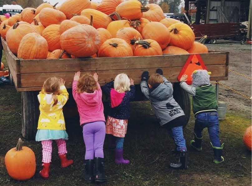 Children looking into a wagon full of pumpkins