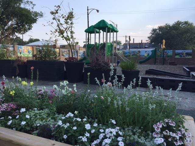 Flowers in foreground with playground equipment in background