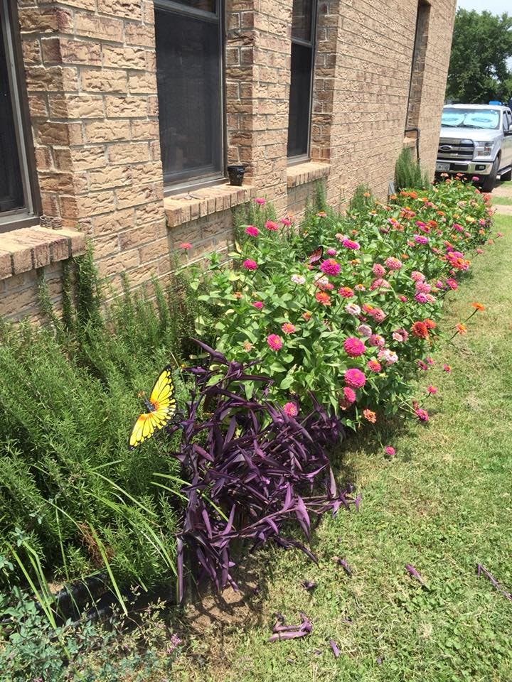 Sleepers to Sneakers Day Care Daycare in Balch Springs, TX Winnie