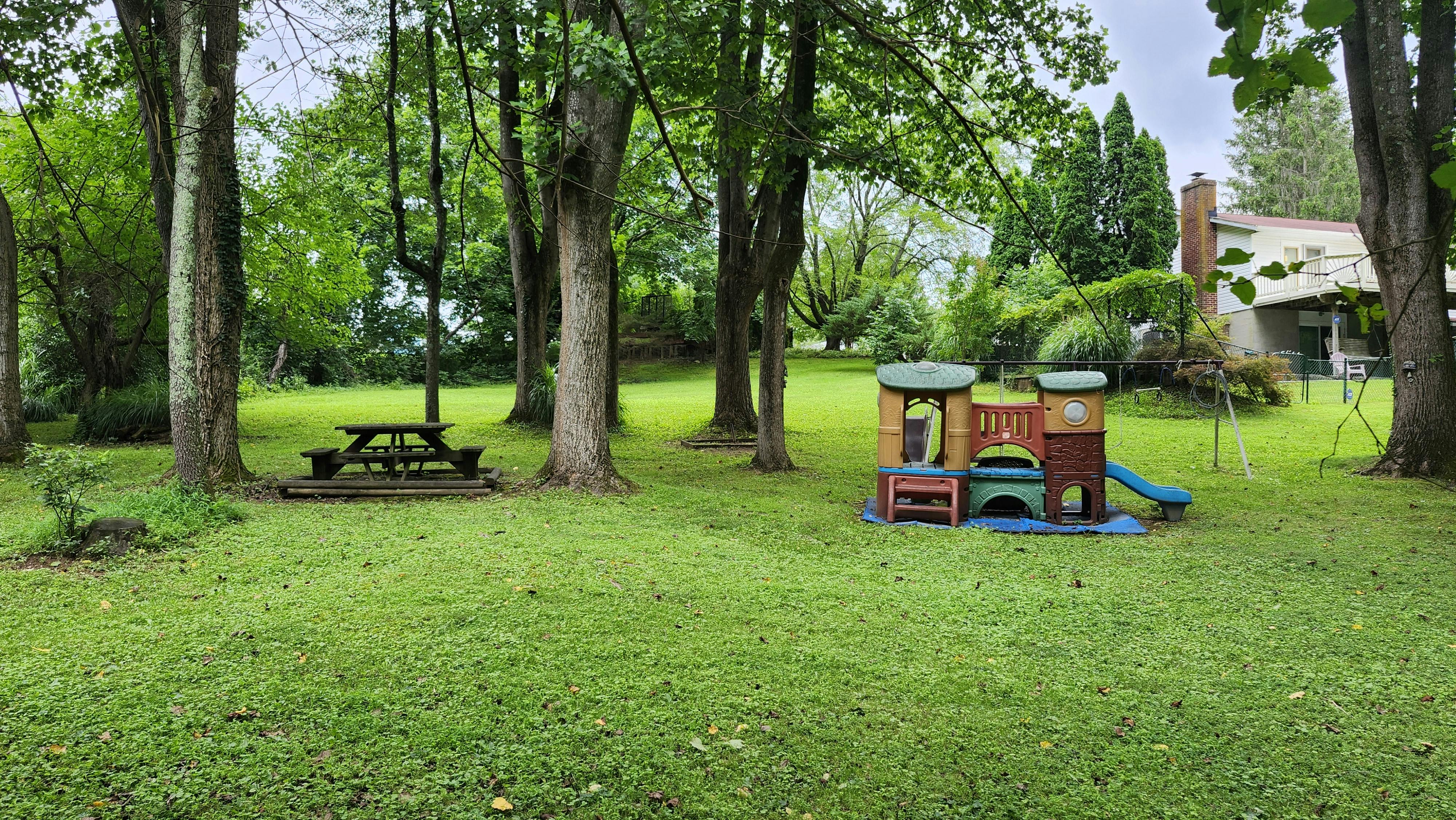 Picnic table and small plastic play set in a grassy backyard with trees