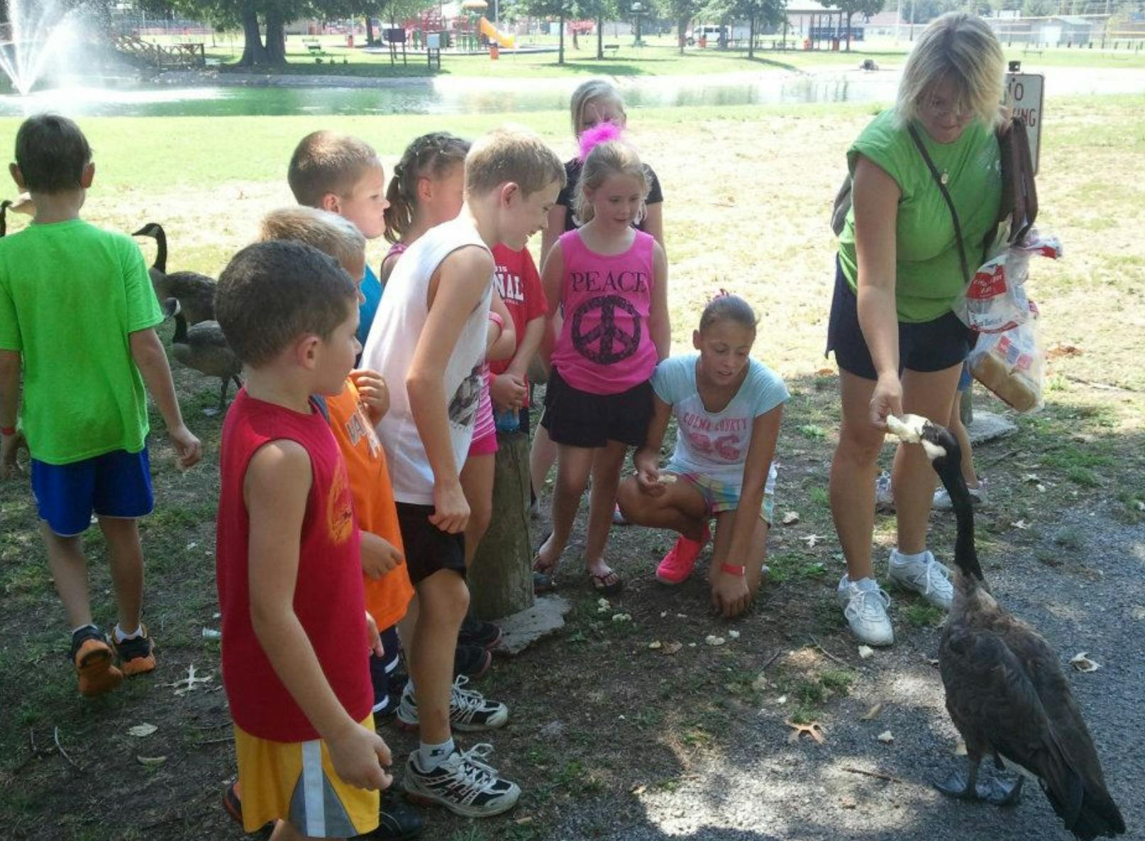 Adult and children feeding a goose outdoors