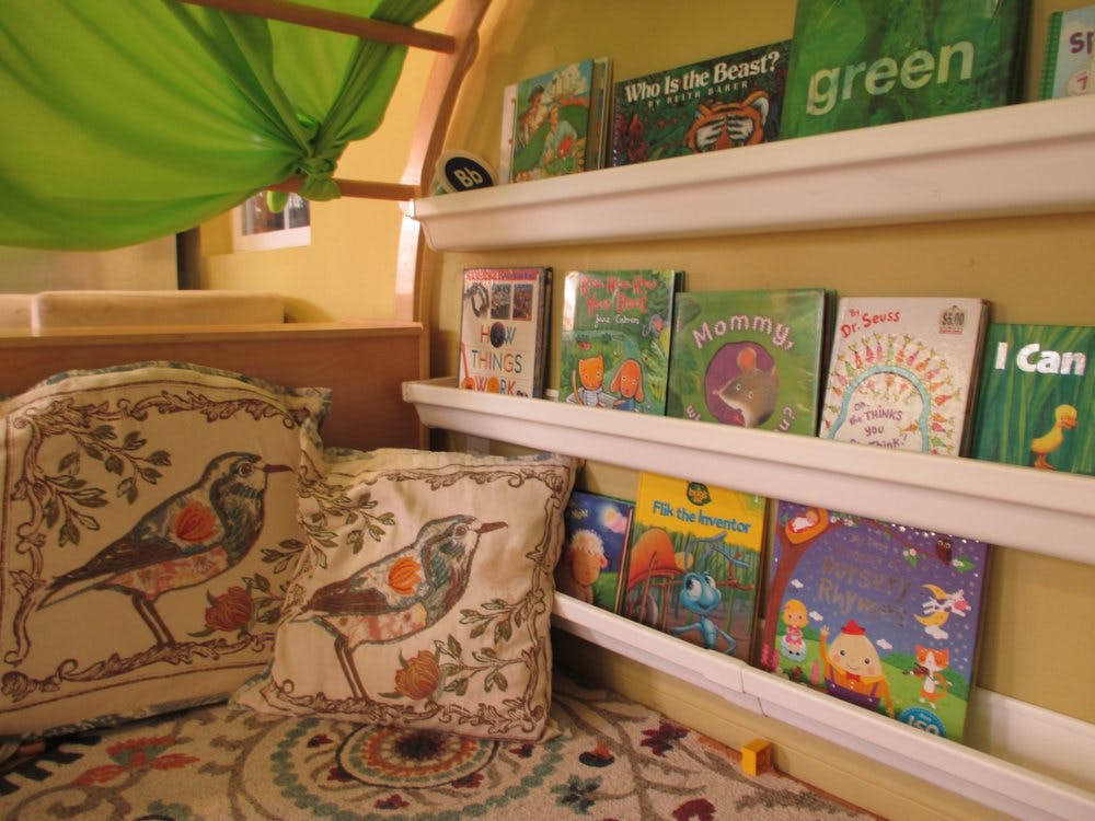 Pillows with bird designs next to shelves of children's books