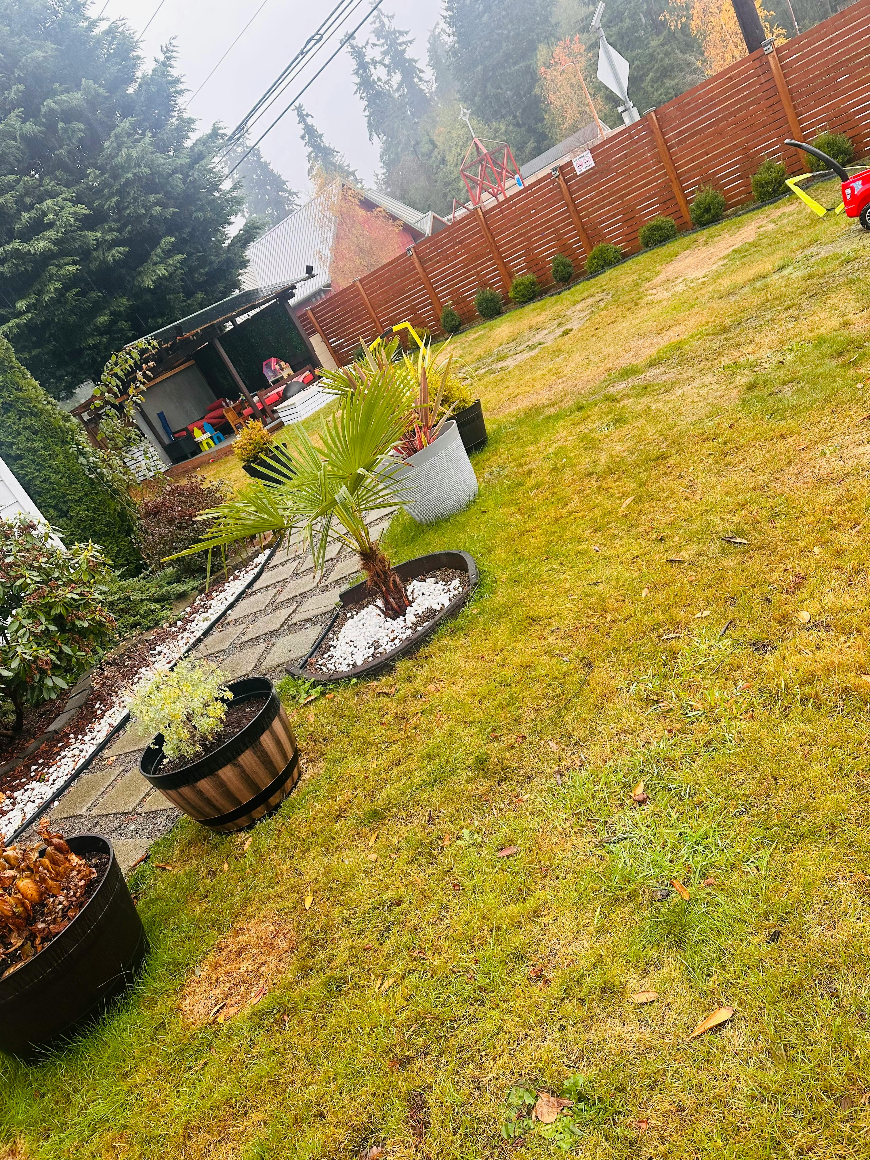 Potted plants along a stone path in a grassy yard with a wooden fence