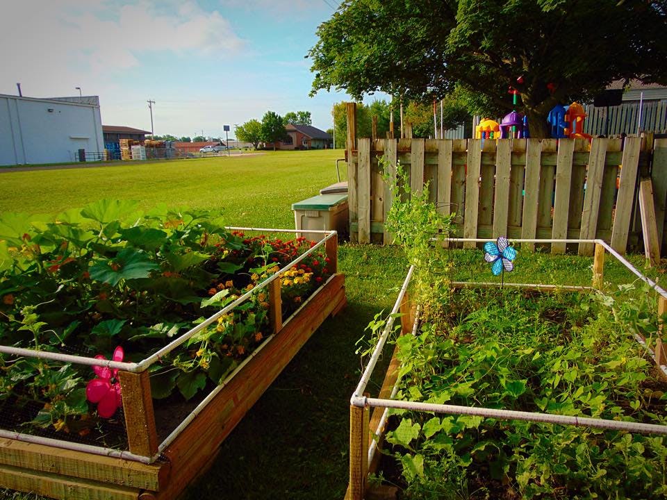 Two raised garden beds with plants and a wooden fence in the background