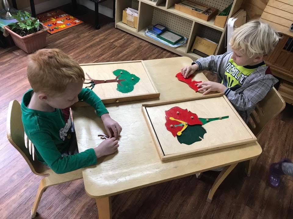 Casa Dei Montessori Preschool in Nashville, TN Winnie