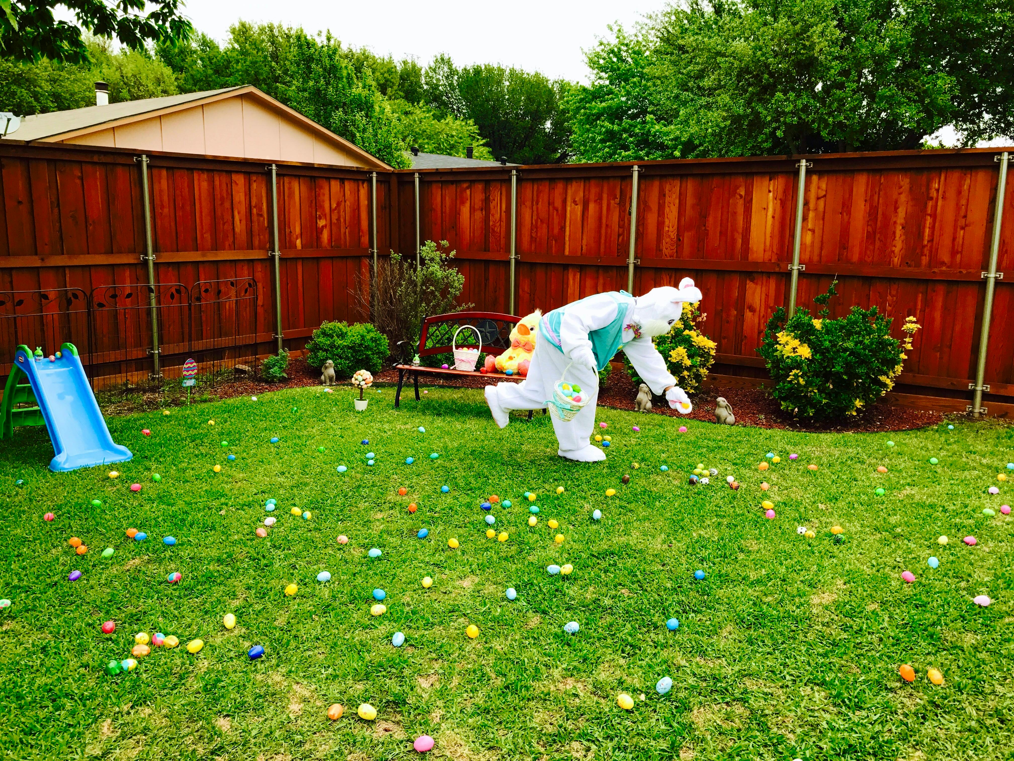 Person in a bunny costume picking up eggs in a grassy yard