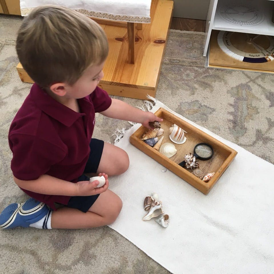 Sophia Montessori Academy Preschool in Denver, CO Winnie