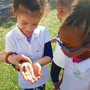 Child holding a small insect in cupped hands, other children looking on