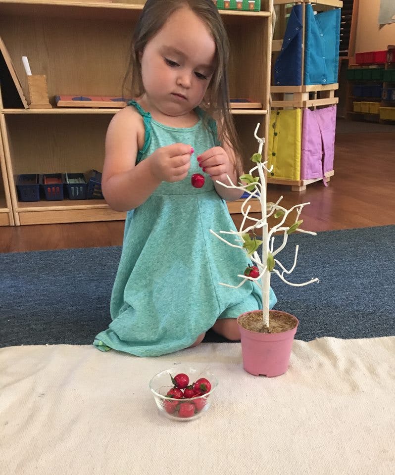 Child playing with small red objects and a miniature tree