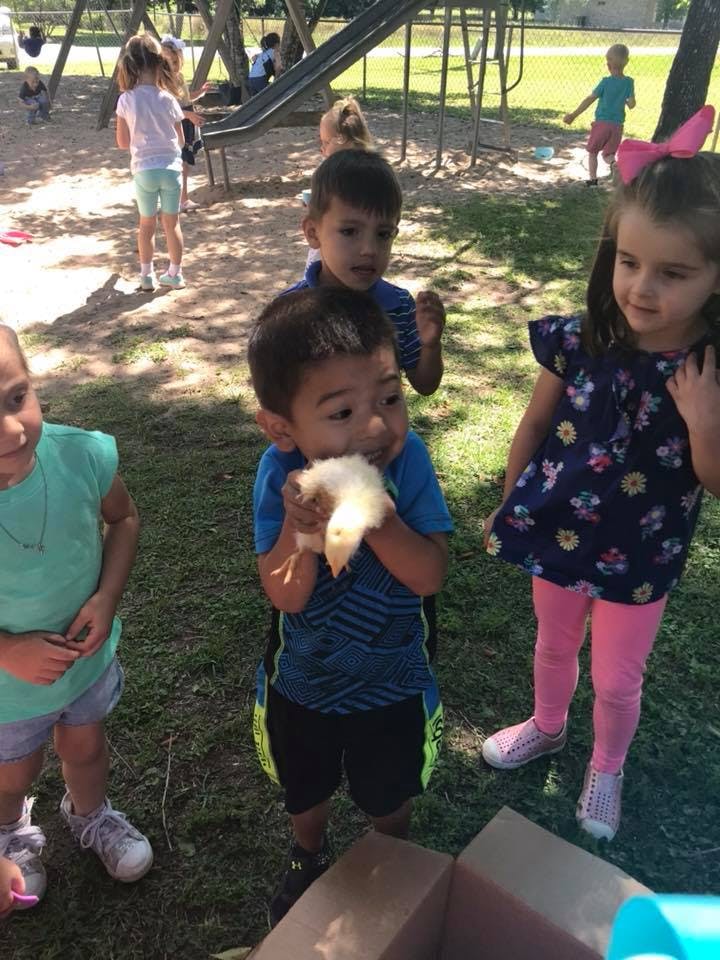 Child holding a chick with other children nearby