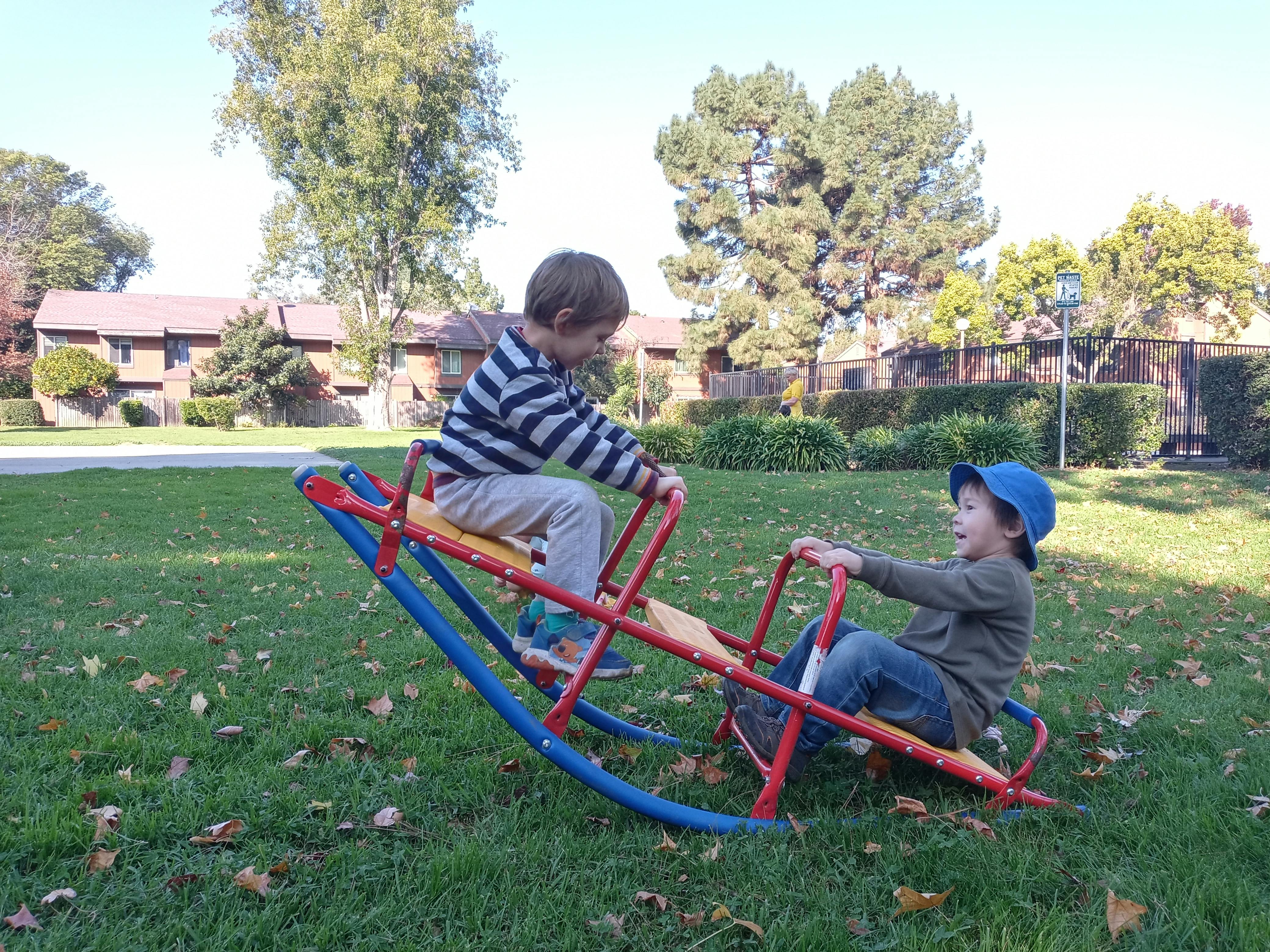 Two children playing on a seesaw in a grassy area