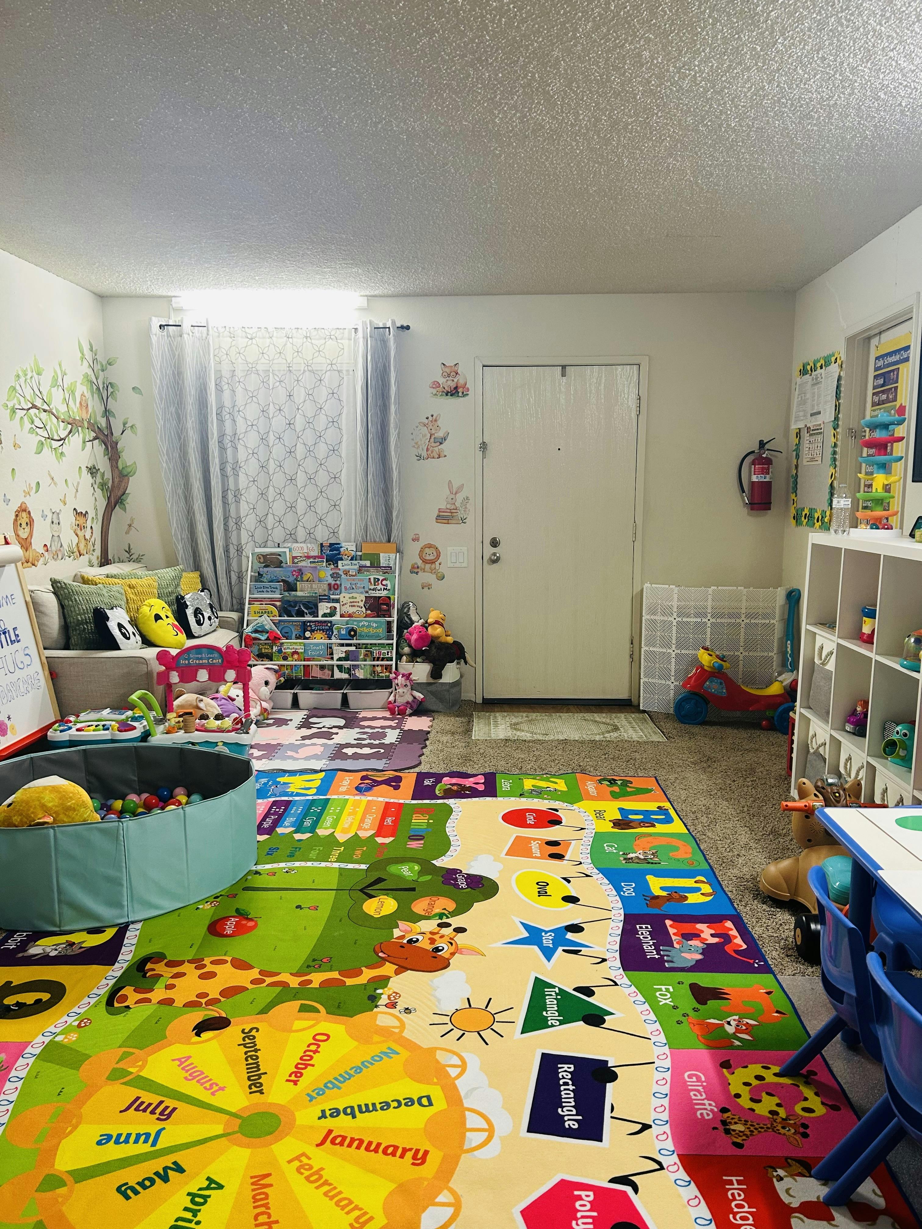 Playroom with a colorful ABC and shapes rug, a ball pit, and a book shelf